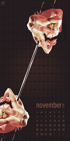 USPDF Wall Calendar 2011 Nov USPDF Wall Calendar 2011