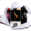 USPDF-Champioship-2011-Pro–Finalits
