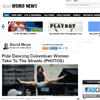 AOL Weird News